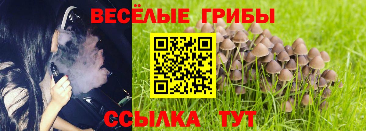 Псилоцибиновые грибы Psilocybine cubensis Волоколамск